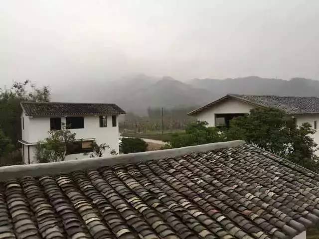 https://mmbiz.qlogo.cn/mmbiz_jpg/WbNlqFJXkBia0AOTJFmraCTHfrTiaGPxDBG1SAh46tWYTCiaTrfIjotRyjia7JNXEeUlzuFiaxXhGBz6UYTzQNJmRow/0?wx_fmt=jpeg