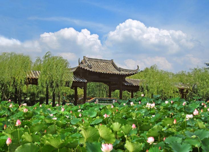 截图1205385379