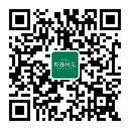 订阅号.jpeg