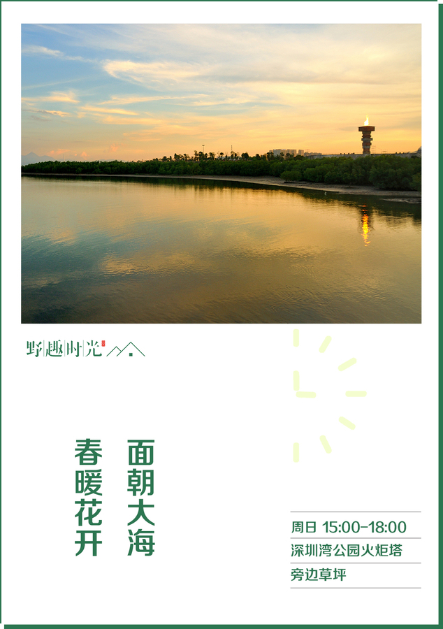 深圳湾.jpg