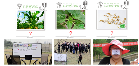 屏幕快照 2018-04-19 下午4.48.17.png